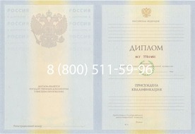 Диплом Волгоградского филиала РЭУ им. Г.В. Плеханова 2010-2011 годов Диплом Волгоградского филиала РЭУ им. Г.В. Плеханова 2010-2011 годов