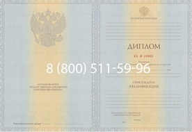 Диплом Волгоградского филиала РЭУ им. Г.В. Плеханова 2012-2013 годов Диплом Волгоградского филиала РЭУ им. Г.В. Плеханова 2012-2013 годов